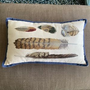 Decorative Feather Pillow